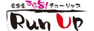 FlyRunUp_logo